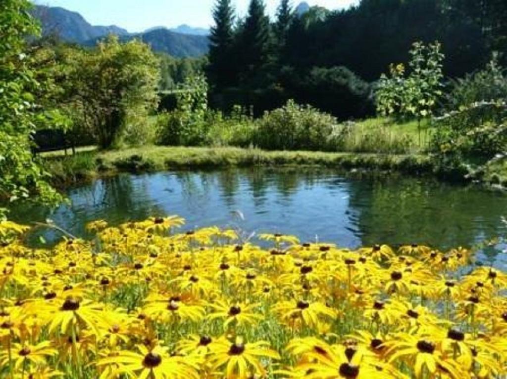 Ferienwohnungen Quellenhof Bad Reichenhall Εξωτερικό φωτογραφία